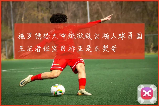 施罗德怒火中烧欲殴打湖人球员国王记者证实目标正是东契奇