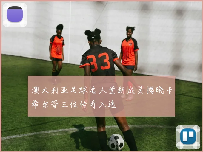 澳大利亚足球名人堂新成员揭晓卡希尔等三位传奇入选